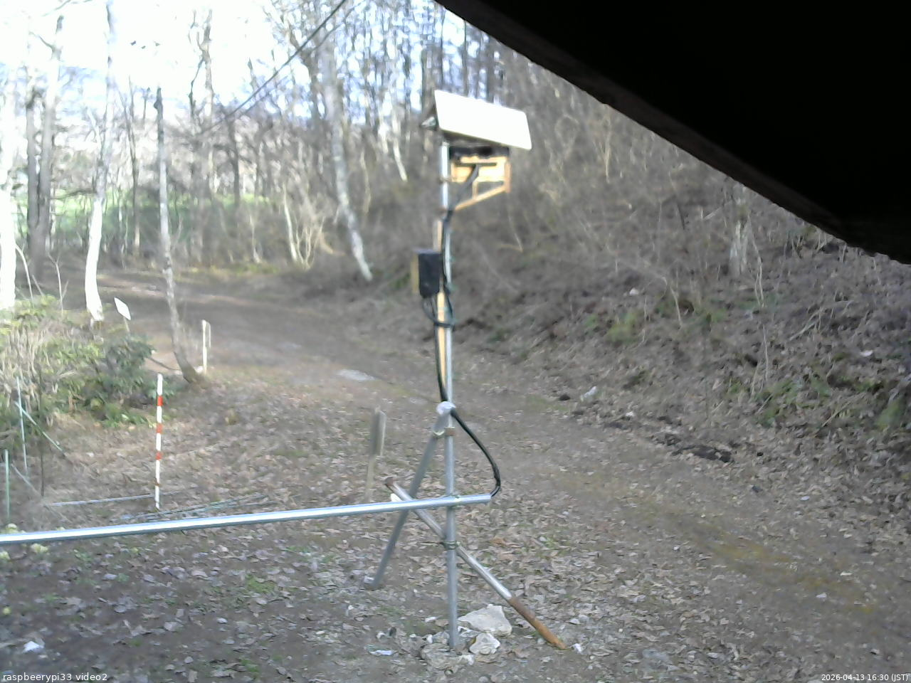 長野県菅平高原 ゆたか山荘 南側 2026/04/13 16:30