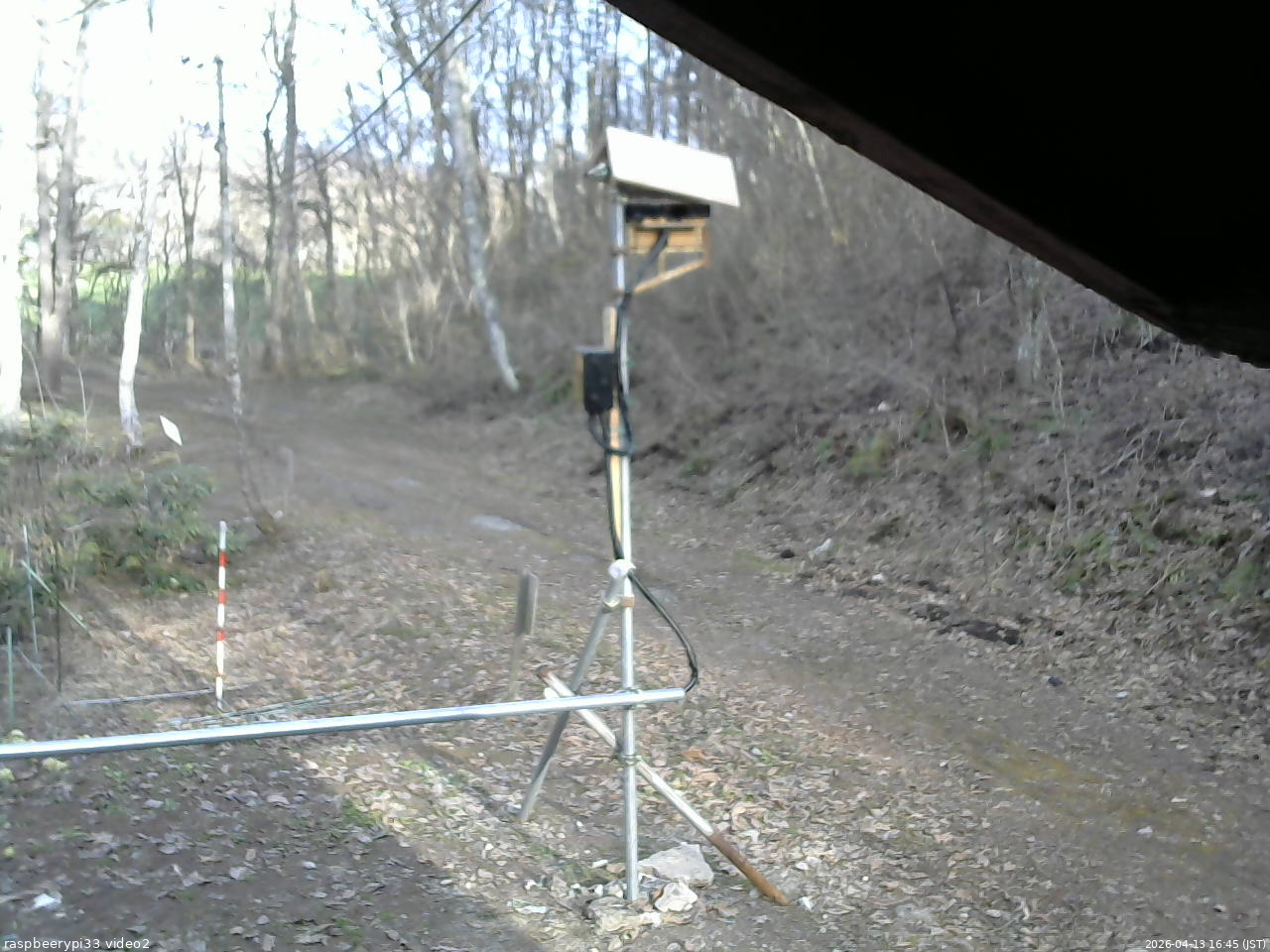 長野県菅平高原 ゆたか山荘 南側 2026/04/13 16:45
