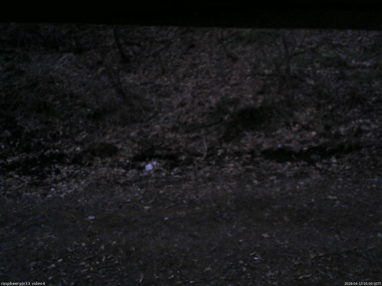 長野県菅平高原 ゆたか山荘 東側(坂下) 2026/04/13 05:00