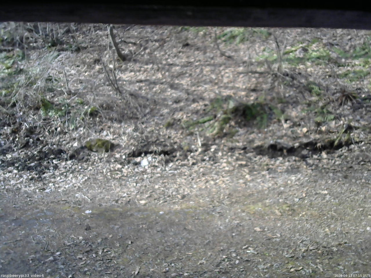 長野県菅平高原 ゆたか山荘 東側(坂下) 2026/04/13 07:15