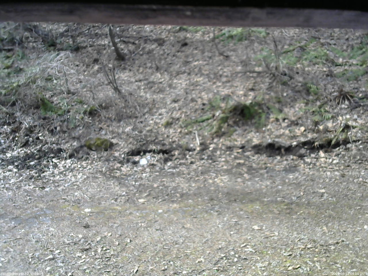 長野県菅平高原 ゆたか山荘 東側(坂下) 2026/04/13 08:00