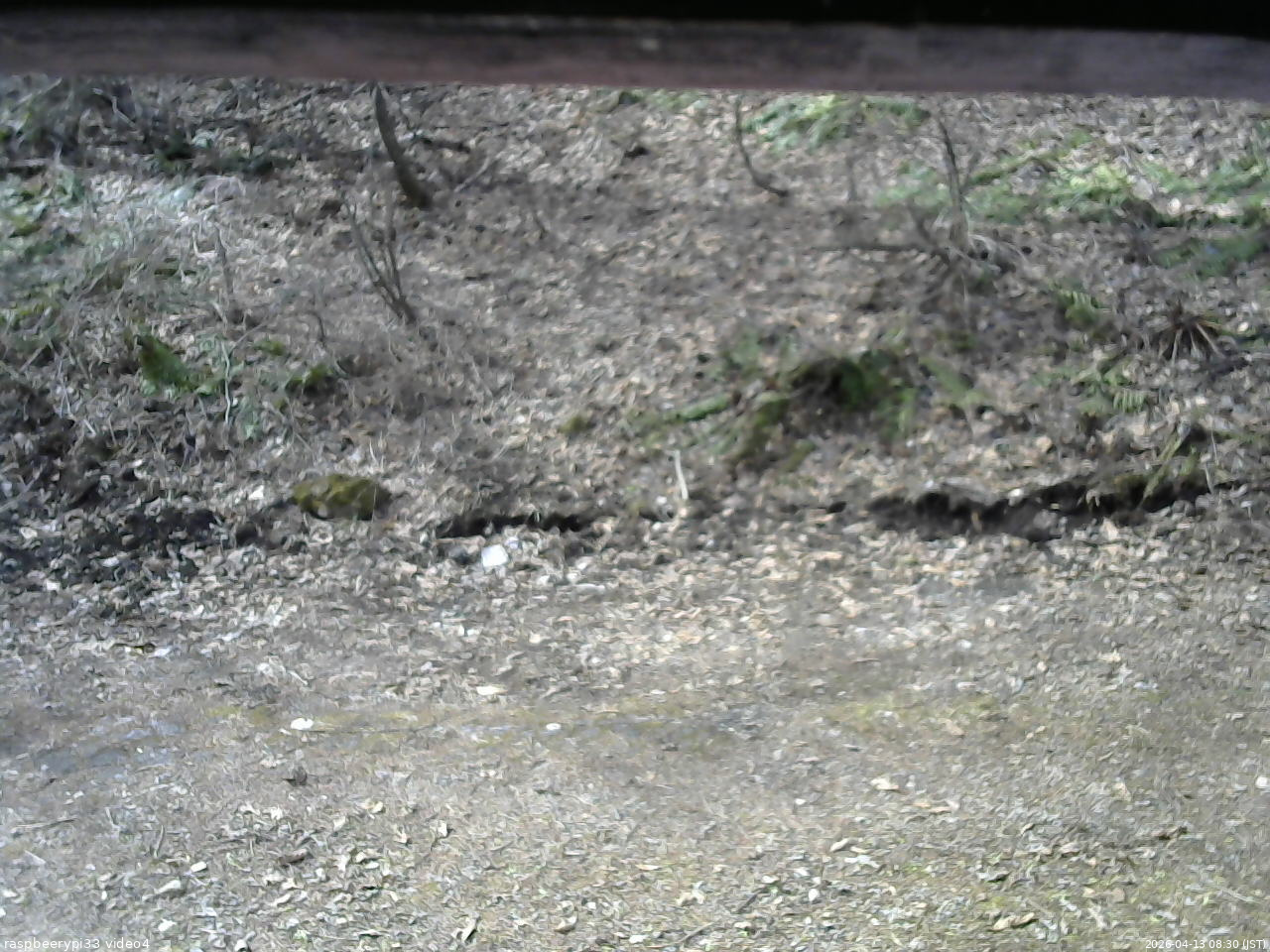 長野県菅平高原 ゆたか山荘 東側(坂下) 2026/04/13 08:30