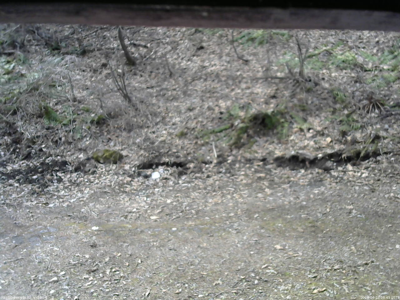 長野県菅平高原 ゆたか山荘 東側(坂下) 2026/04/13 08:45