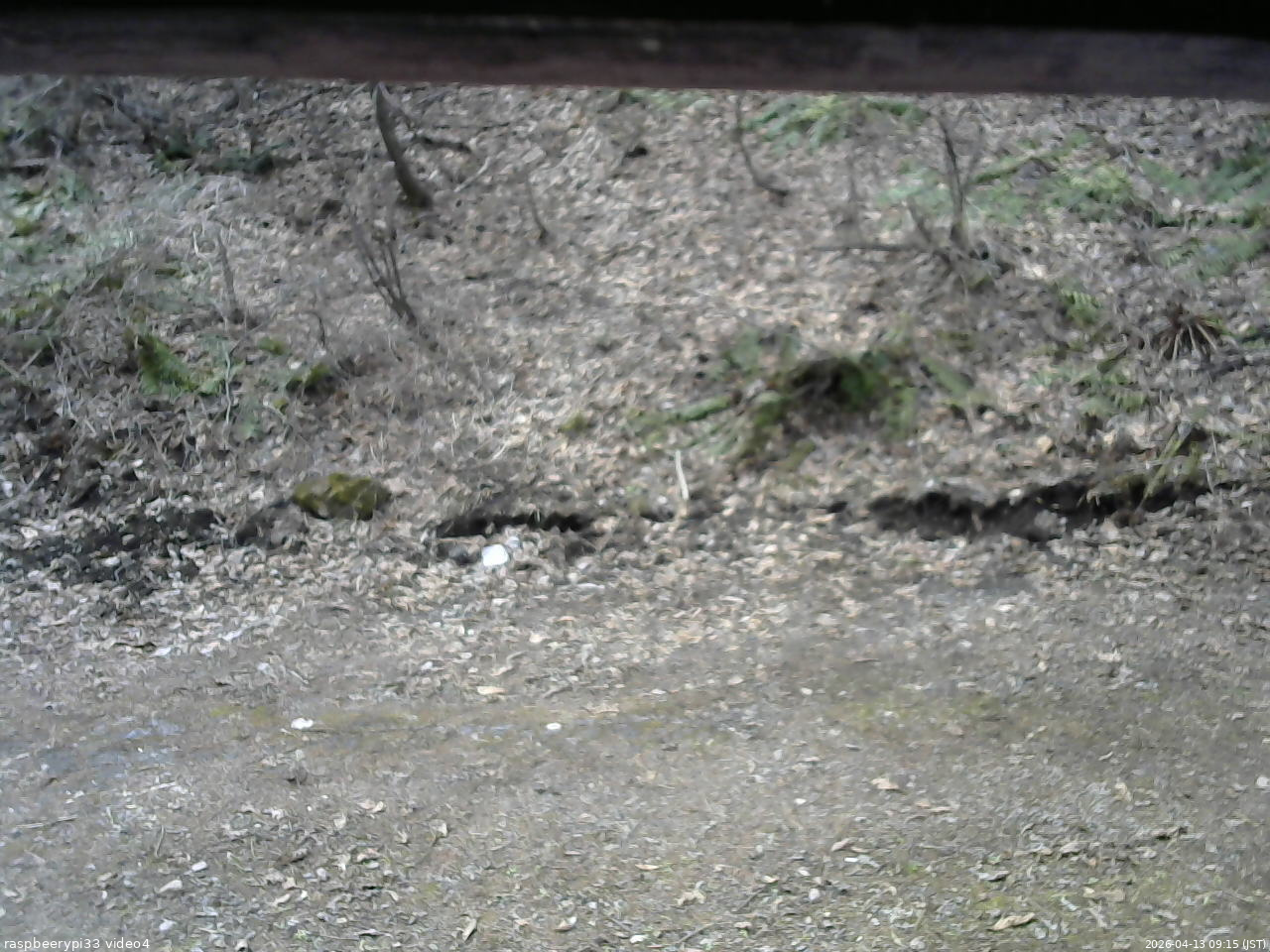 長野県菅平高原 ゆたか山荘 東側(坂下) 2026/04/13 09:15