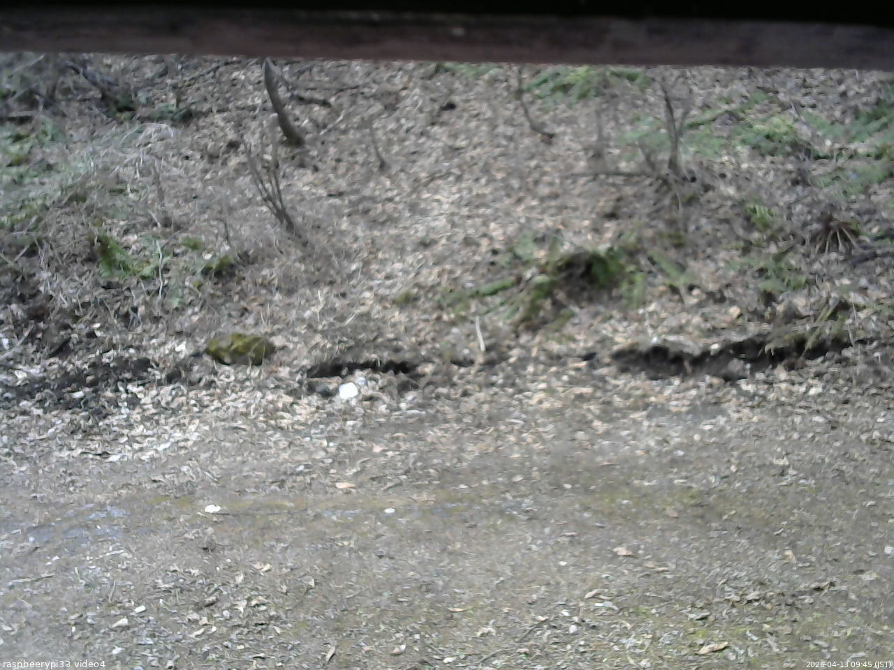 長野県菅平高原 ゆたか山荘 東側(坂下) 2026/04/13 09:45