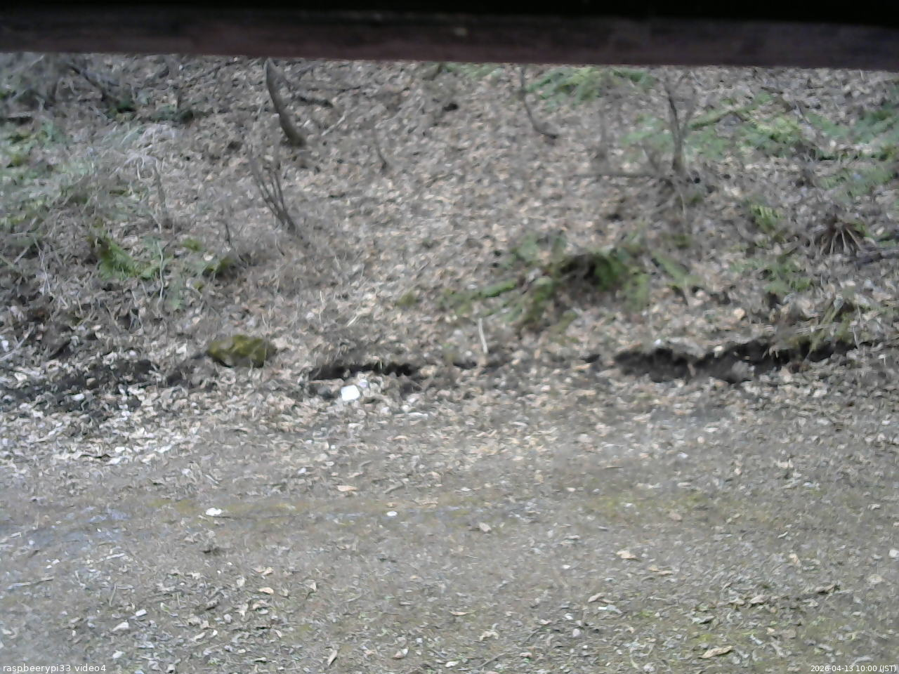 長野県菅平高原 ゆたか山荘 東側(坂下) 2026/04/13 10:00