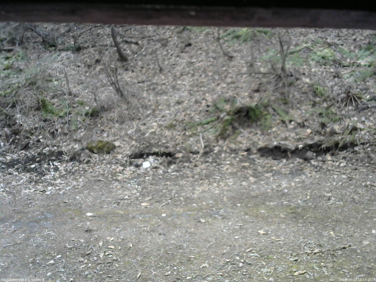 長野県菅平高原 ゆたか山荘 東側(坂下) 2026/04/13 10:15