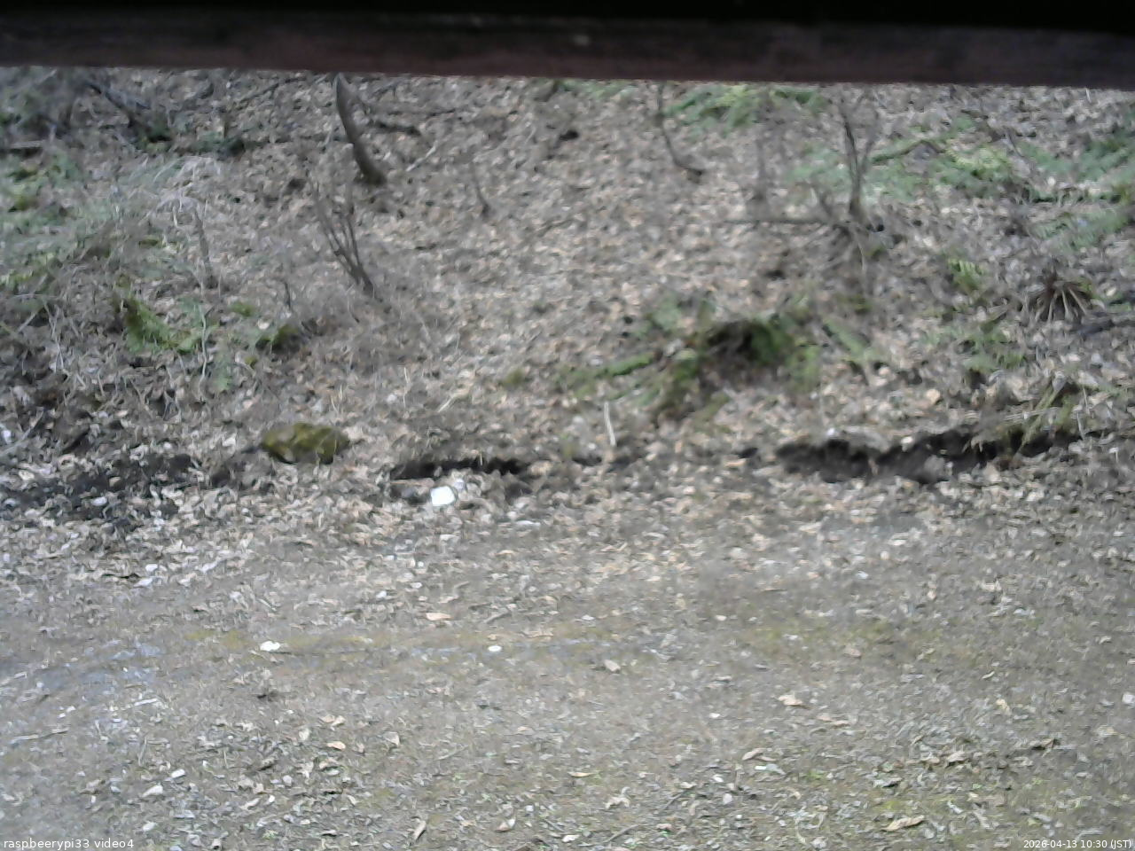 長野県菅平高原 ゆたか山荘 東側(坂下) 2026/04/13 10:30