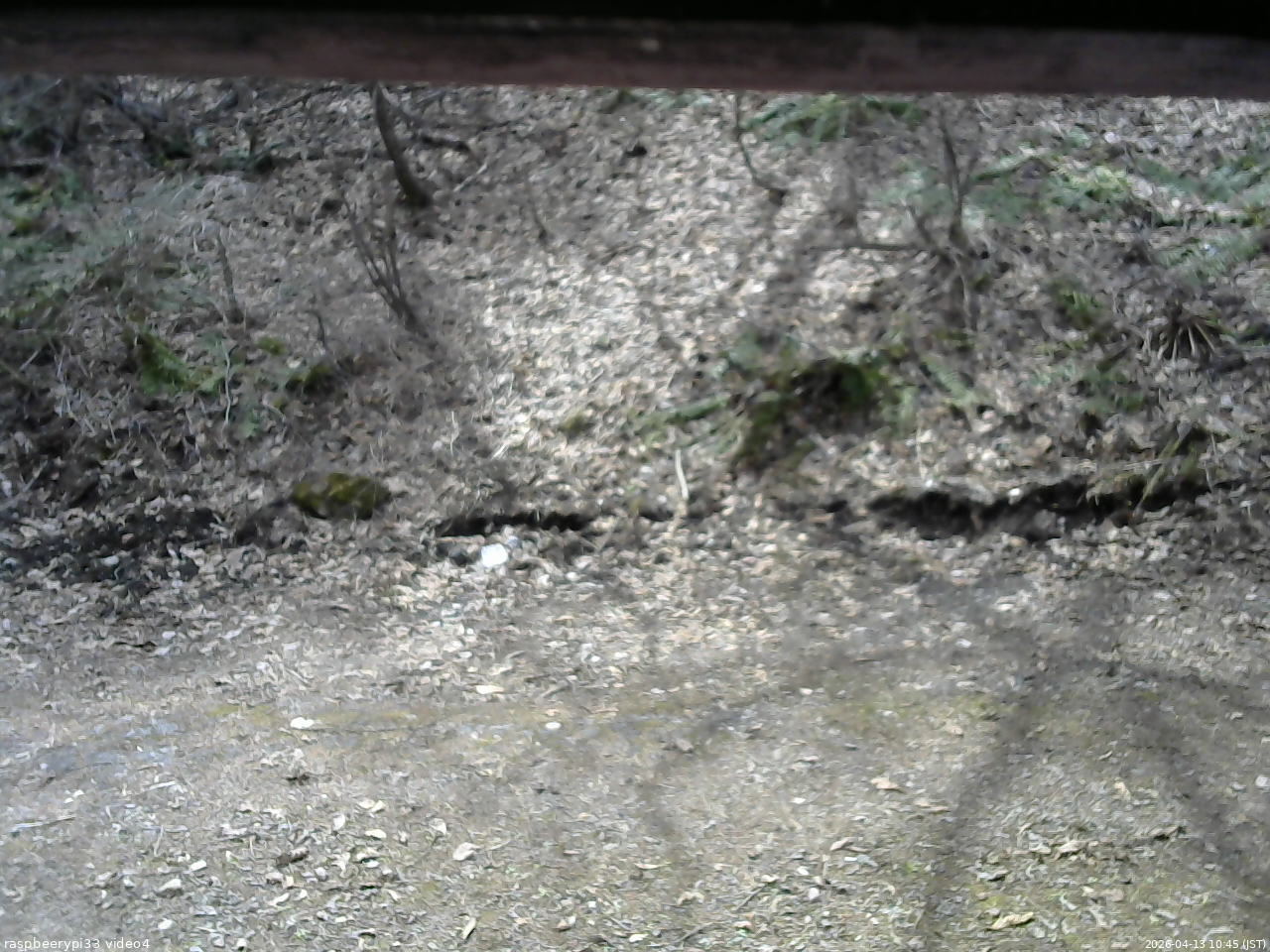 長野県菅平高原 ゆたか山荘 東側(坂下) 2026/04/13 10:45