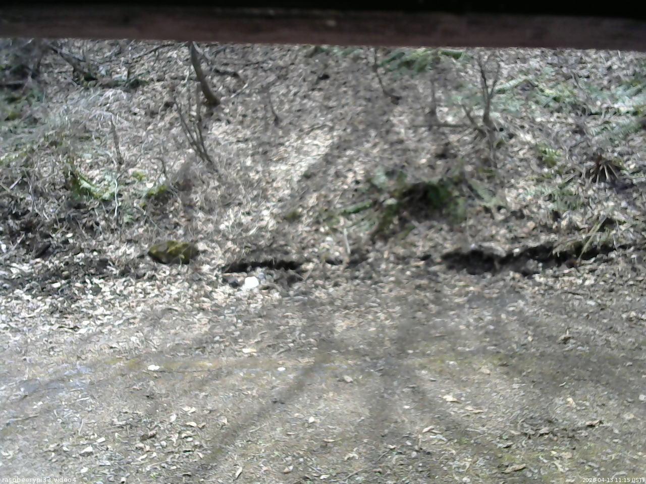 長野県菅平高原 ゆたか山荘 東側(坂下) 2026/04/13 11:15