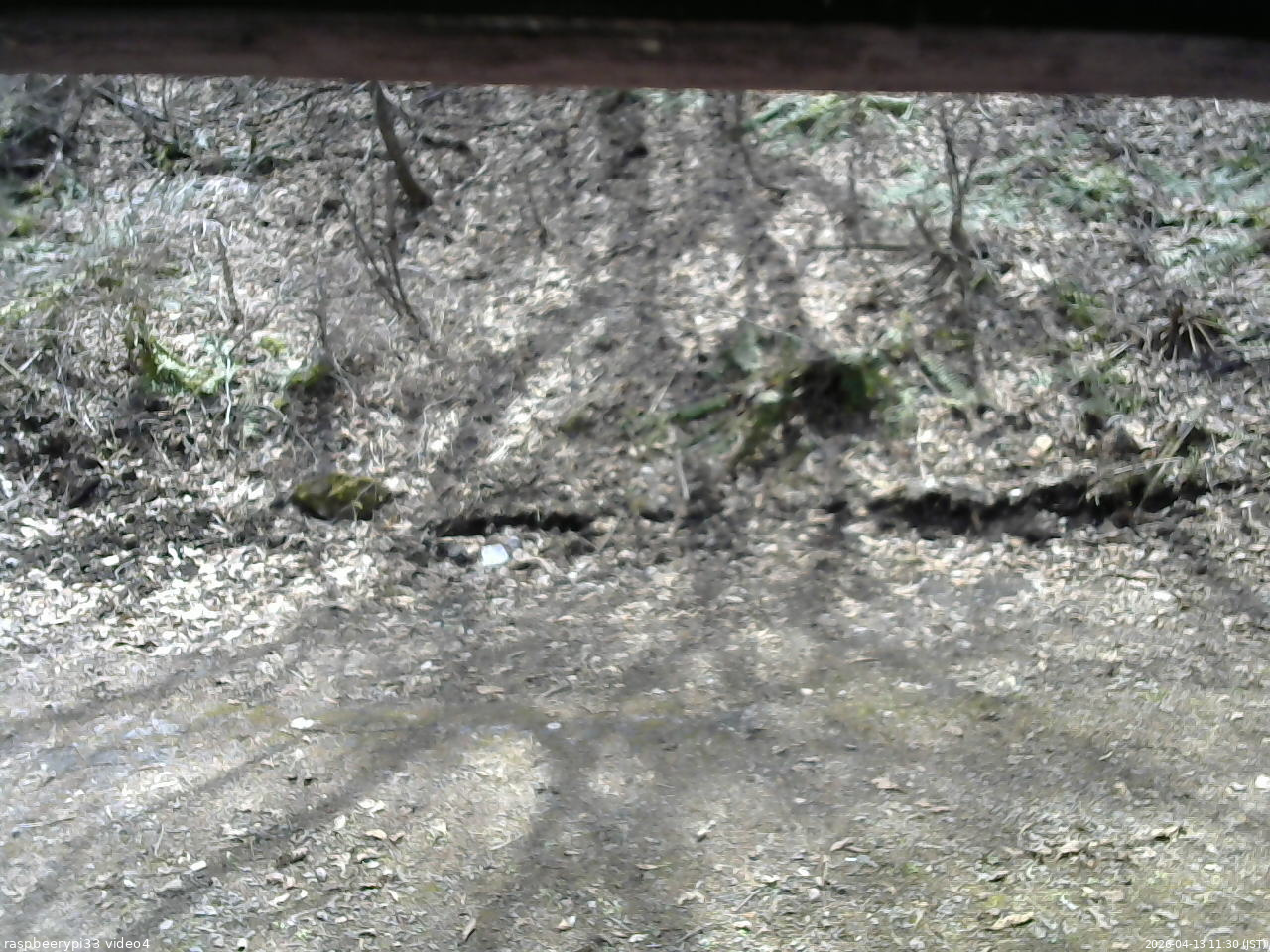 長野県菅平高原 ゆたか山荘 東側(坂下) 2026/04/13 11:30