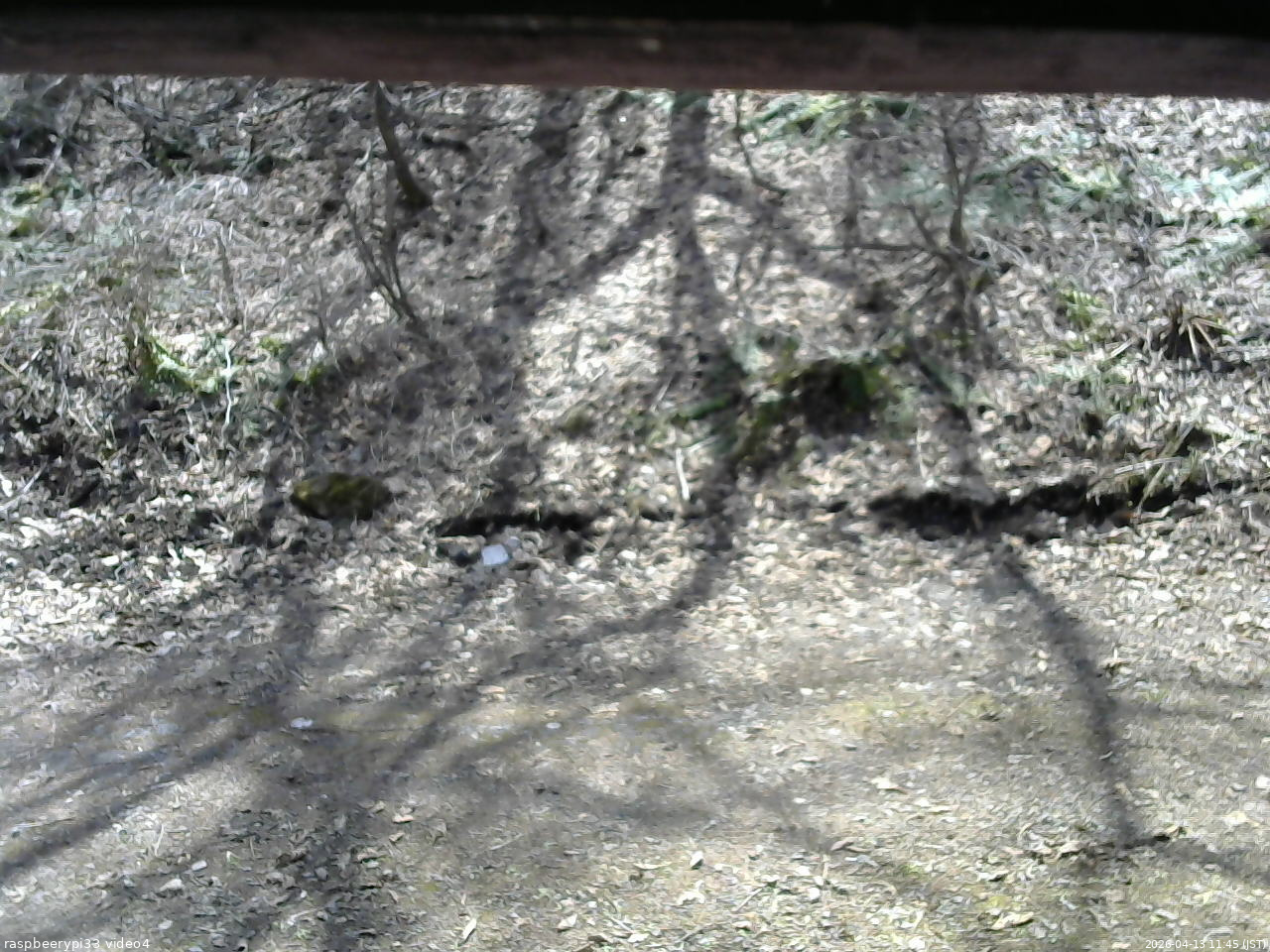 長野県菅平高原 ゆたか山荘 東側(坂下) 2026/04/13 11:45