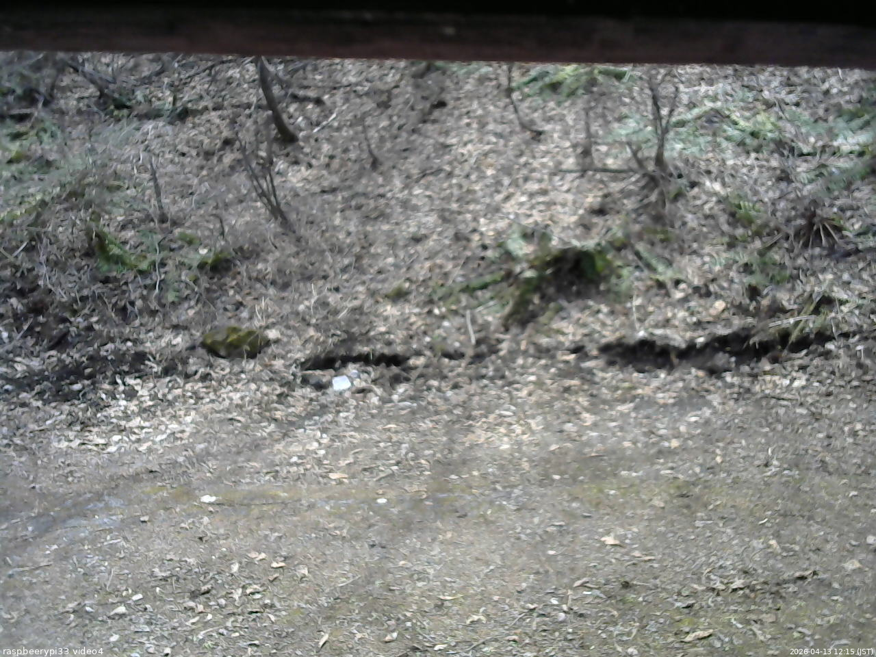 長野県菅平高原 ゆたか山荘 東側(坂下) 2026/04/13 12:15