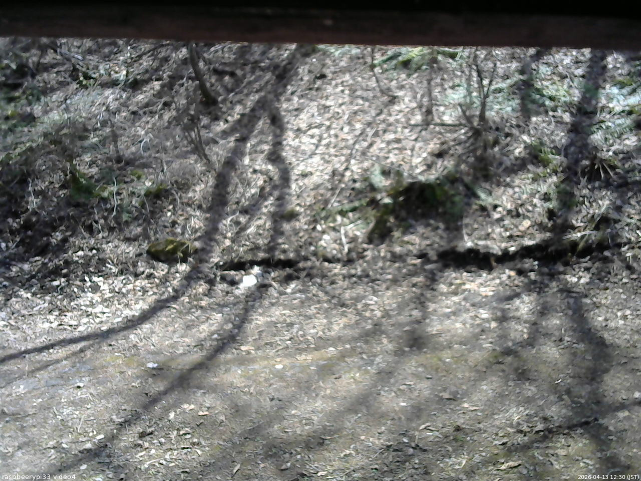 長野県菅平高原 ゆたか山荘 東側(坂下) 2026/04/13 12:30