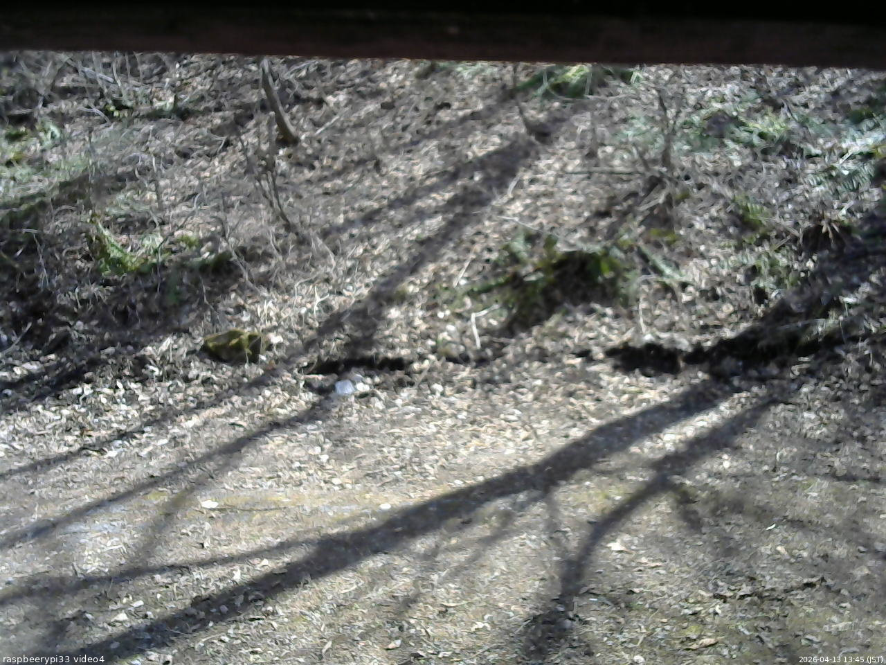 長野県菅平高原 ゆたか山荘 東側(坂下) 2026/04/13 13:45