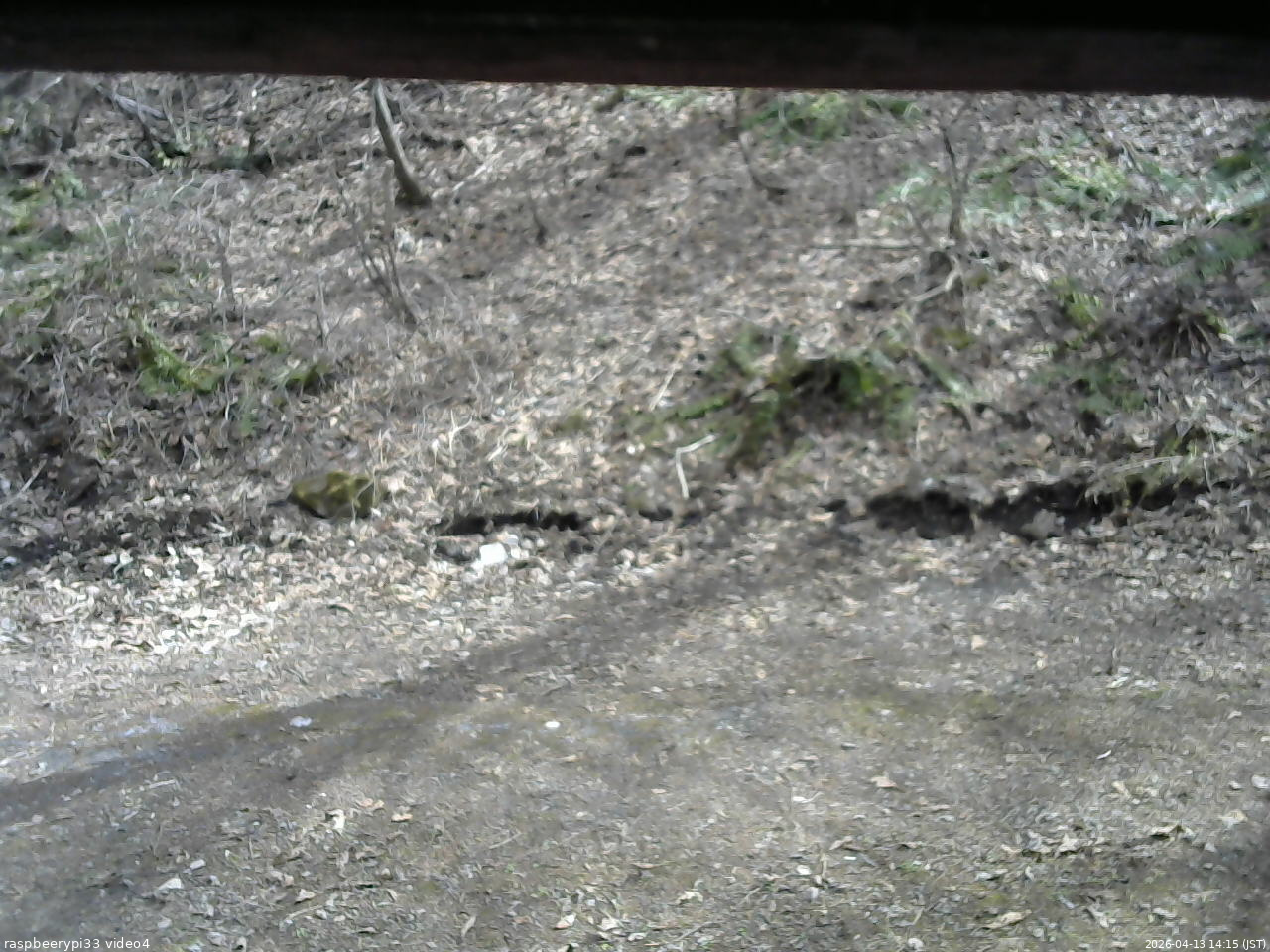 長野県菅平高原 ゆたか山荘 東側(坂下) 2026/04/13 14:15