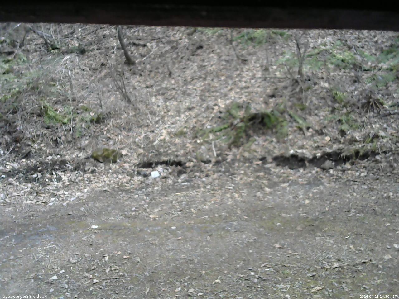 長野県菅平高原 ゆたか山荘 東側(坂下) 2026/04/13 14:30