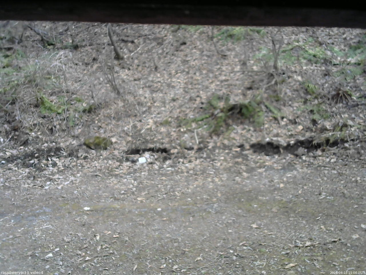 長野県菅平高原 ゆたか山荘 東側(坂下) 2026/04/13 15:00