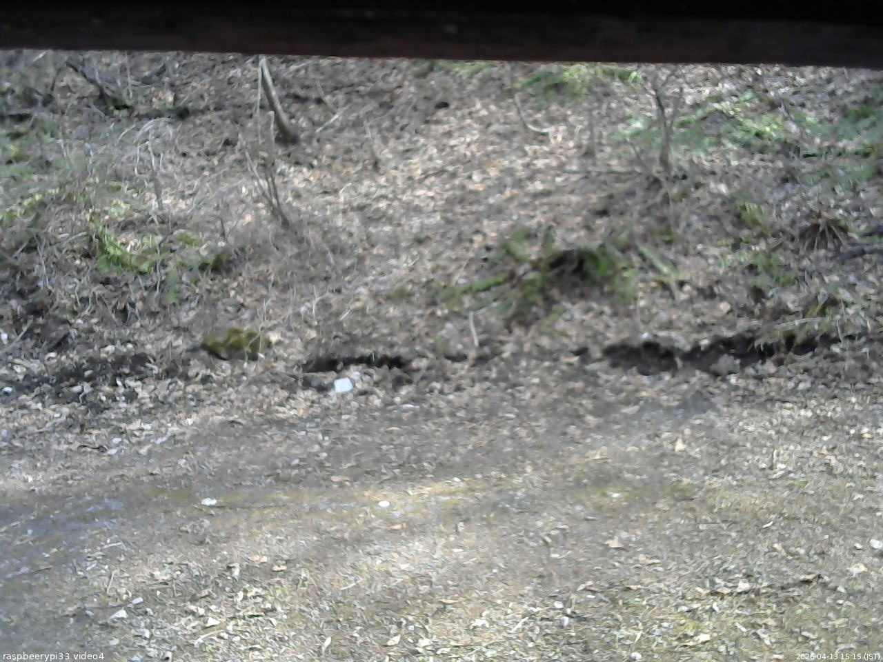 長野県菅平高原 ゆたか山荘 東側(坂下) 2026/04/13 15:15
