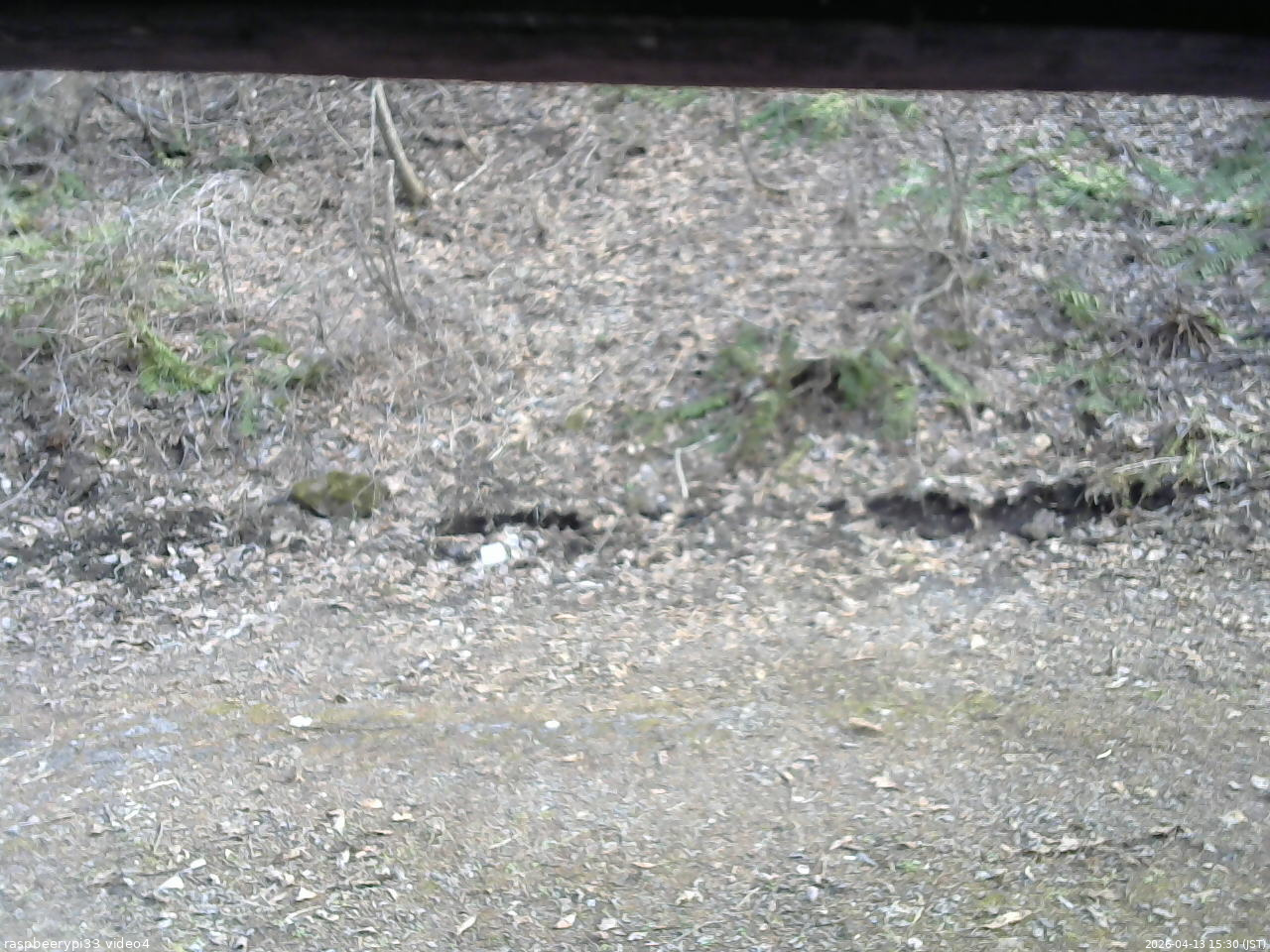 長野県菅平高原 ゆたか山荘 東側(坂下) 2026/04/13 15:30