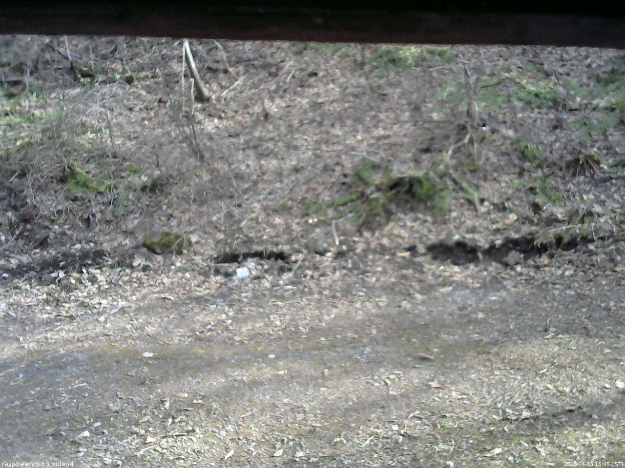 長野県菅平高原 ゆたか山荘 東側(坂下) 2026/04/13 15:45
