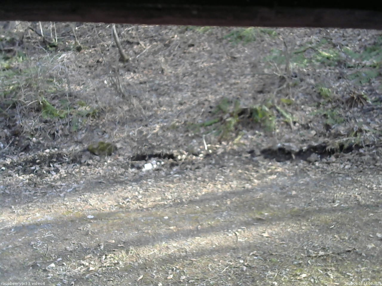 長野県菅平高原 ゆたか山荘 東側(坂下) 2026/04/13 16:00