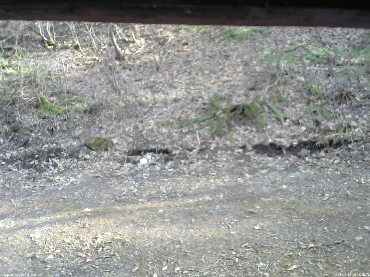 長野県菅平高原 ゆたか山荘 東側(坂下) 2026/04/13 16:15