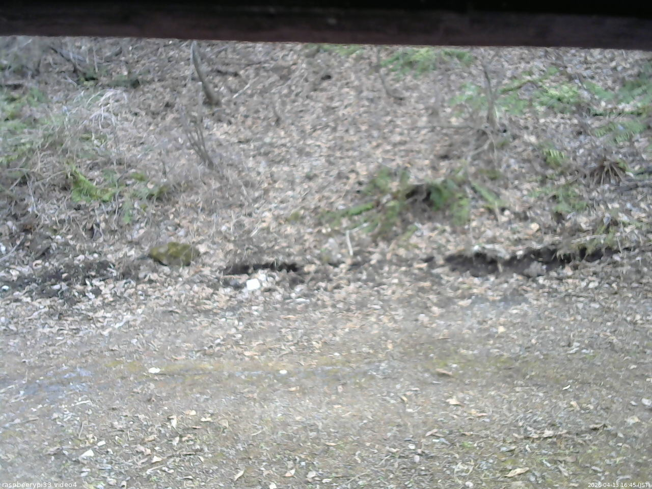 長野県菅平高原 ゆたか山荘 東側(坂下) 2026/04/13 16:45