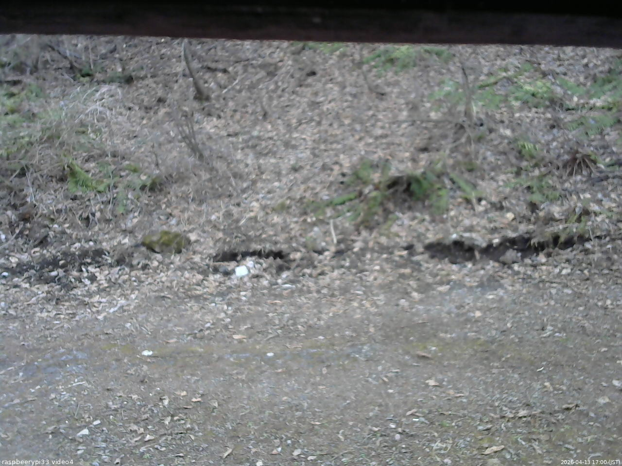長野県菅平高原 ゆたか山荘 東側(坂下) 2026/04/13 17:00