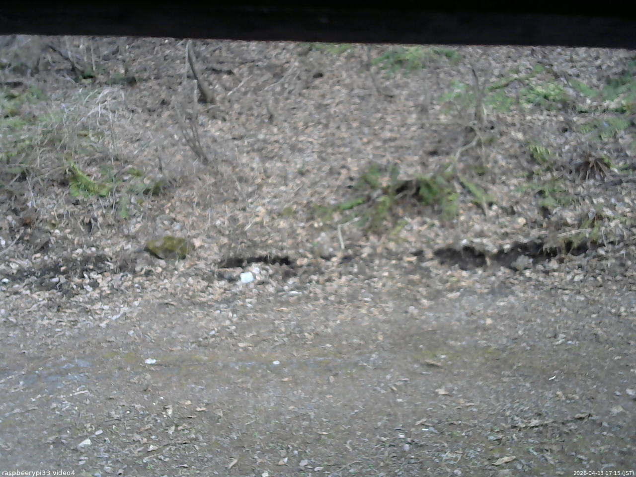 長野県菅平高原 ゆたか山荘 東側(坂下) 2026/04/13 17:15