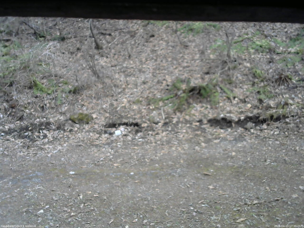 長野県菅平高原 ゆたか山荘 東側(坂下) 2026/04/13 17:30