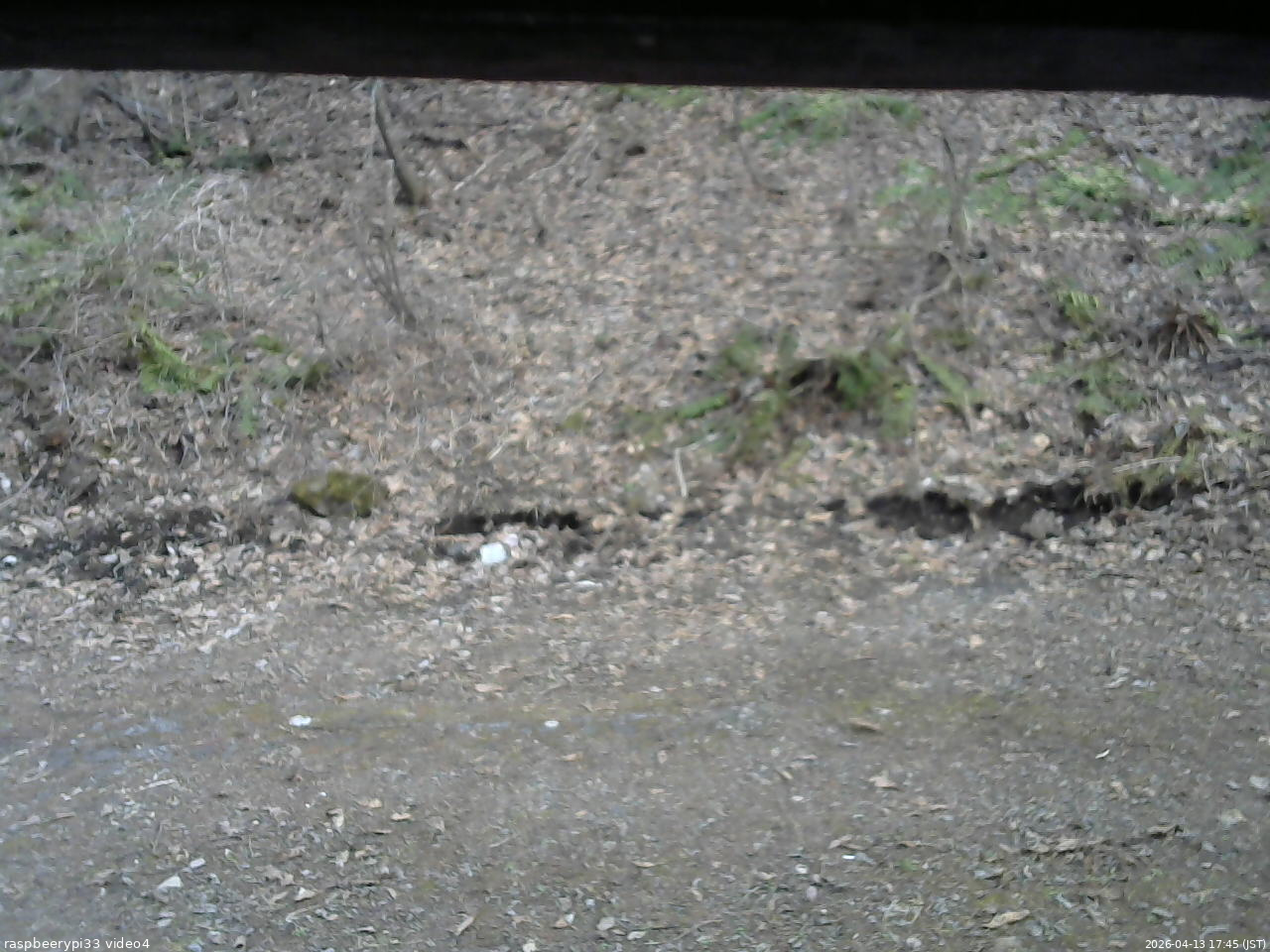 長野県菅平高原 ゆたか山荘 東側(坂下) 2026/04/13 17:45