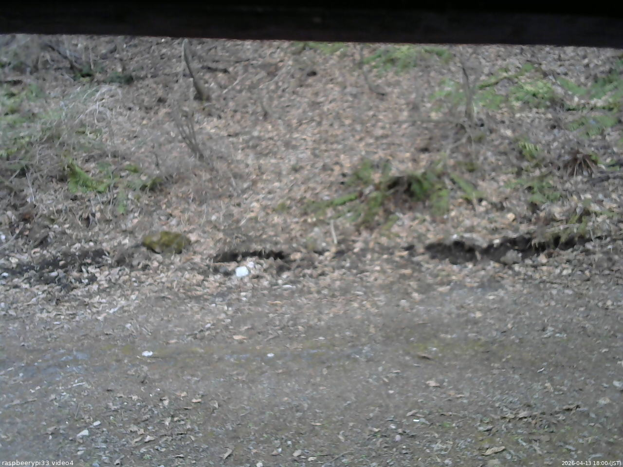 長野県菅平高原 ゆたか山荘 東側(坂下) 2026/04/13 18:00