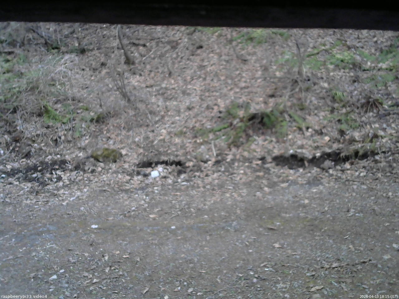 長野県菅平高原 ゆたか山荘 東側(坂下) 2026/04/13 18:15