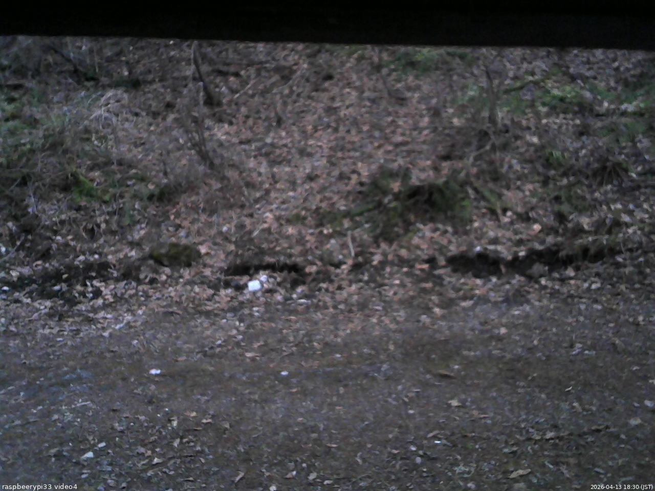 長野県菅平高原 ゆたか山荘 東側(坂下) 2026/04/13 18:30