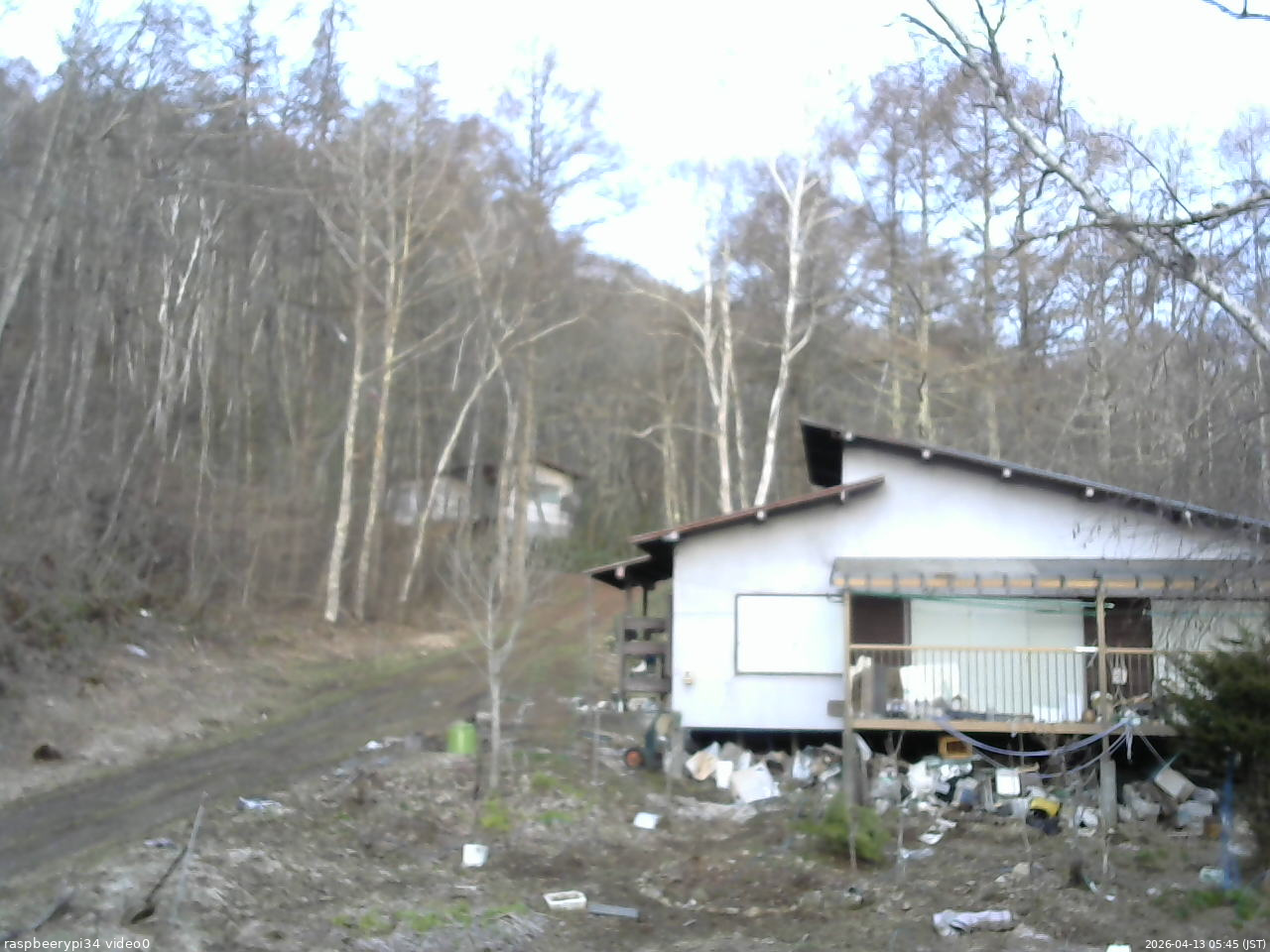 長野県菅平高原 ゆたか山荘 西側(坂上) 2026/04/13 05:45