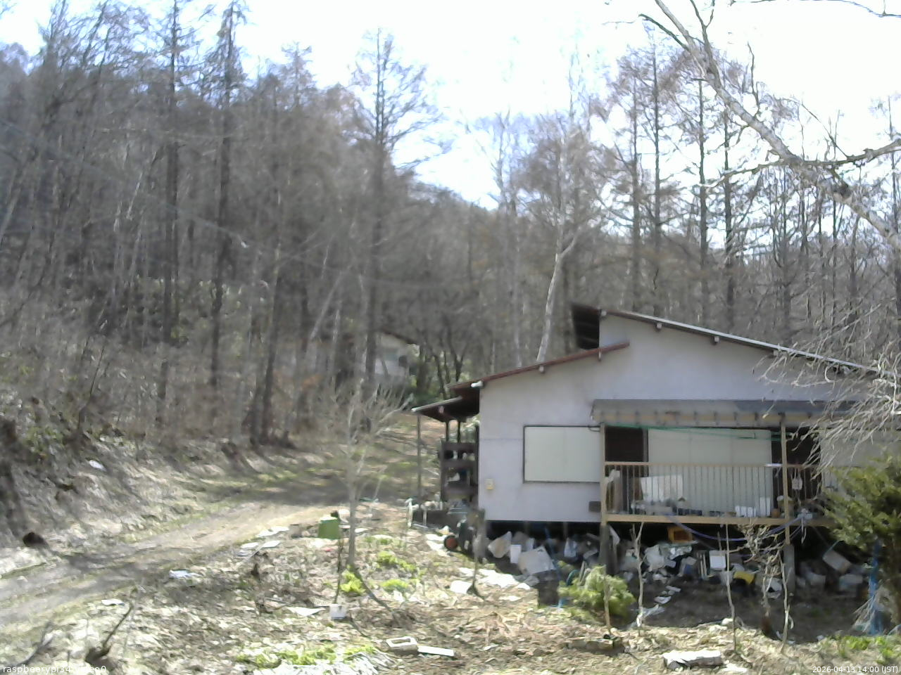 長野県菅平高原 ゆたか山荘 西側(坂上) 2026/04/13 14:00