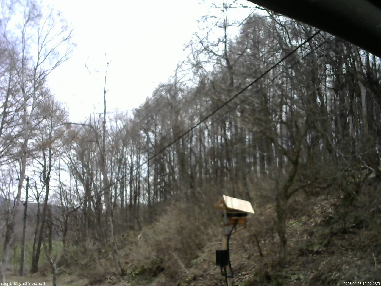 長野県菅平高原 ゆたか山荘 温度計 2026/04/13 11:00