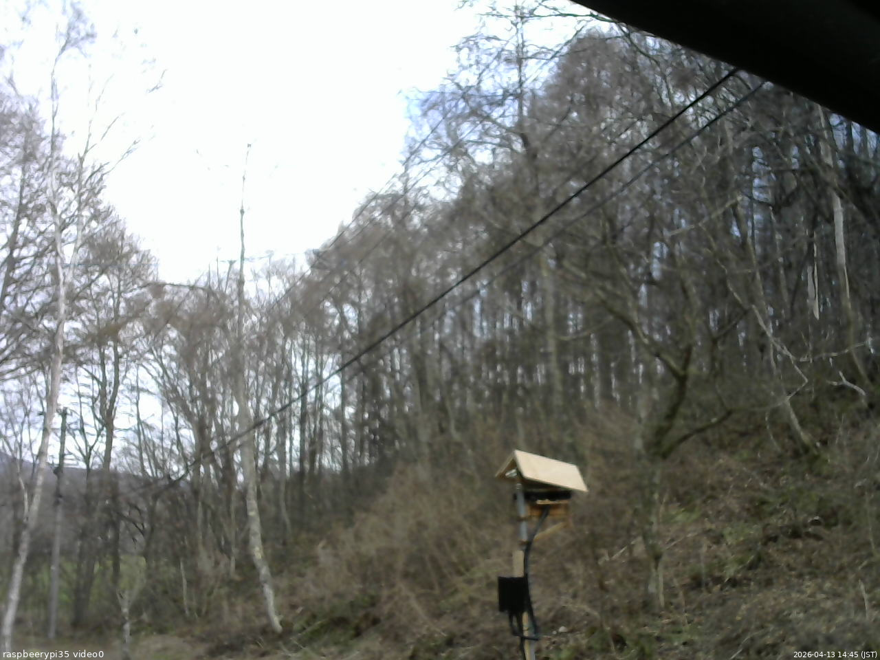 長野県菅平高原 ゆたか山荘 温度計 2026/04/13 14:45
