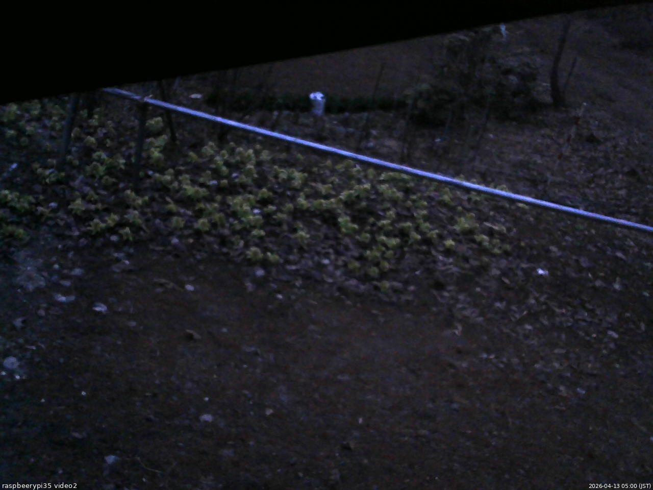 長野県菅平高原 ゆたか山荘 駐車場 2026/04/13 05:00