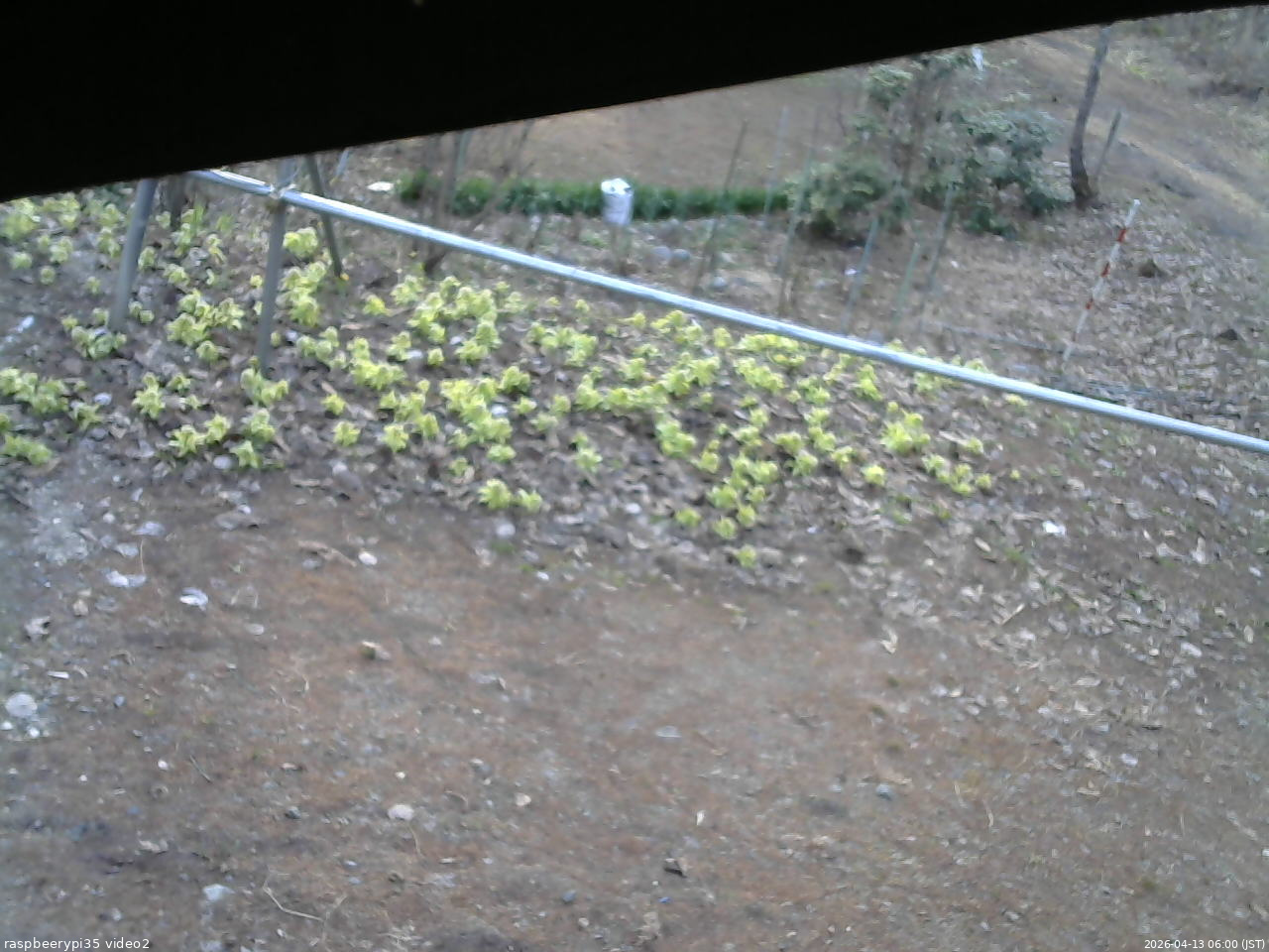 長野県菅平高原 ゆたか山荘 駐車場 2026/04/13 06:00