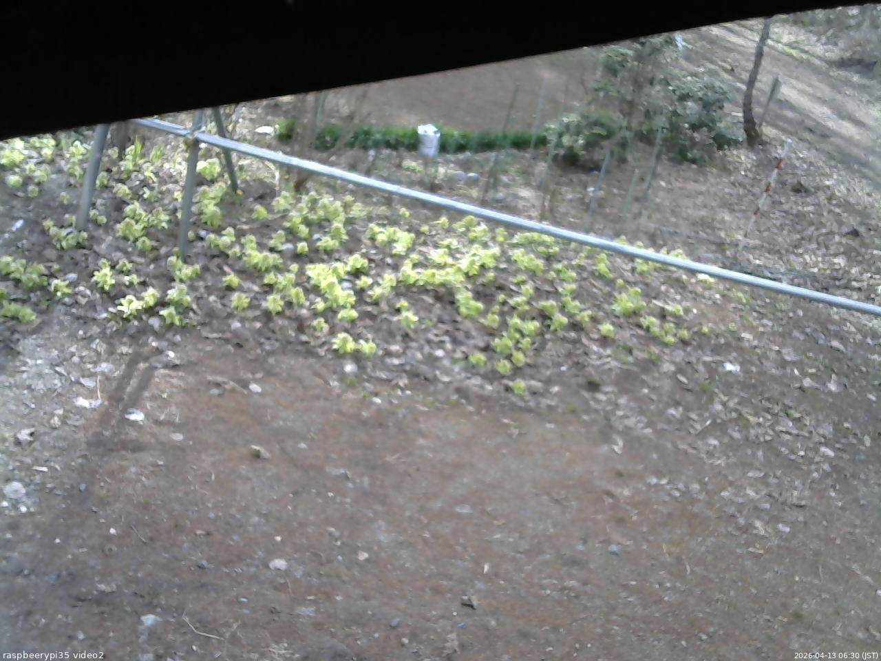 長野県菅平高原 ゆたか山荘 駐車場 2026/04/13 06:30