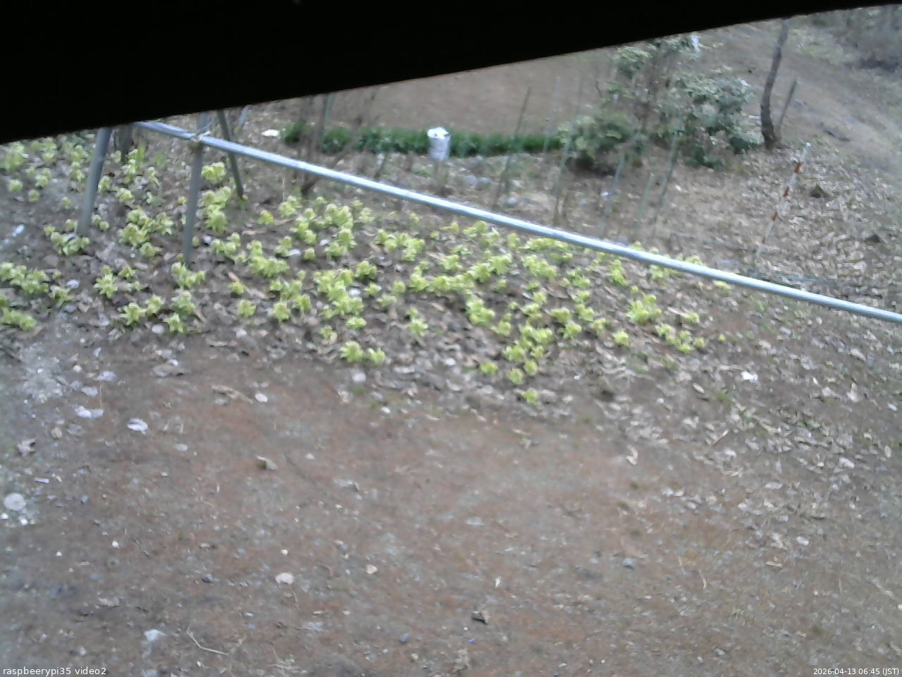 長野県菅平高原 ゆたか山荘 駐車場 2026/04/13 06:45