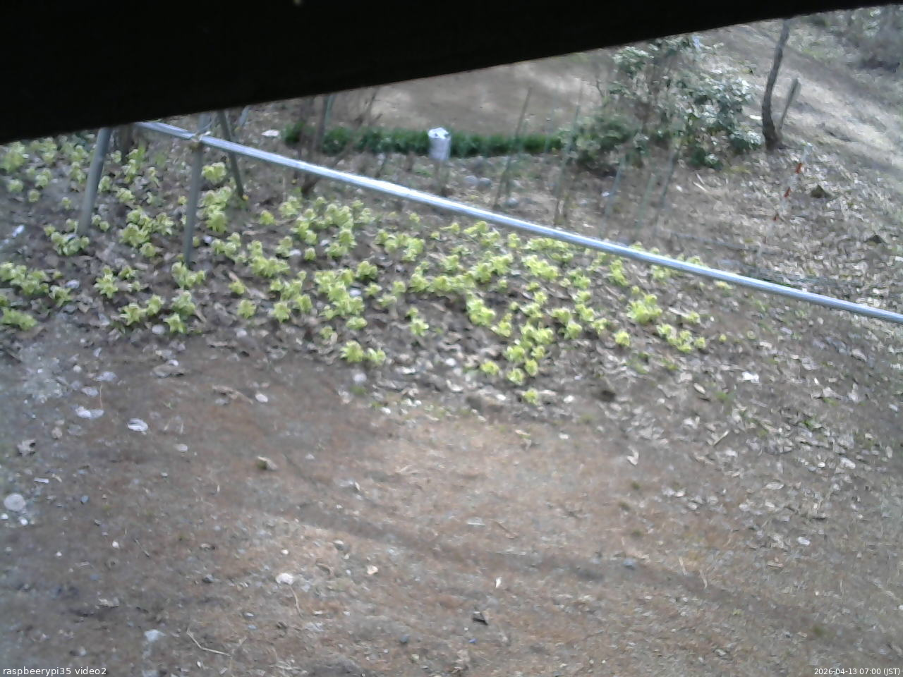 長野県菅平高原 ゆたか山荘 駐車場 2026/04/13 07:00
