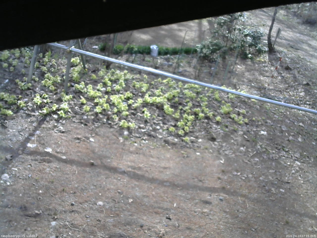 長野県菅平高原 ゆたか山荘 駐車場 2026/04/13 07:15