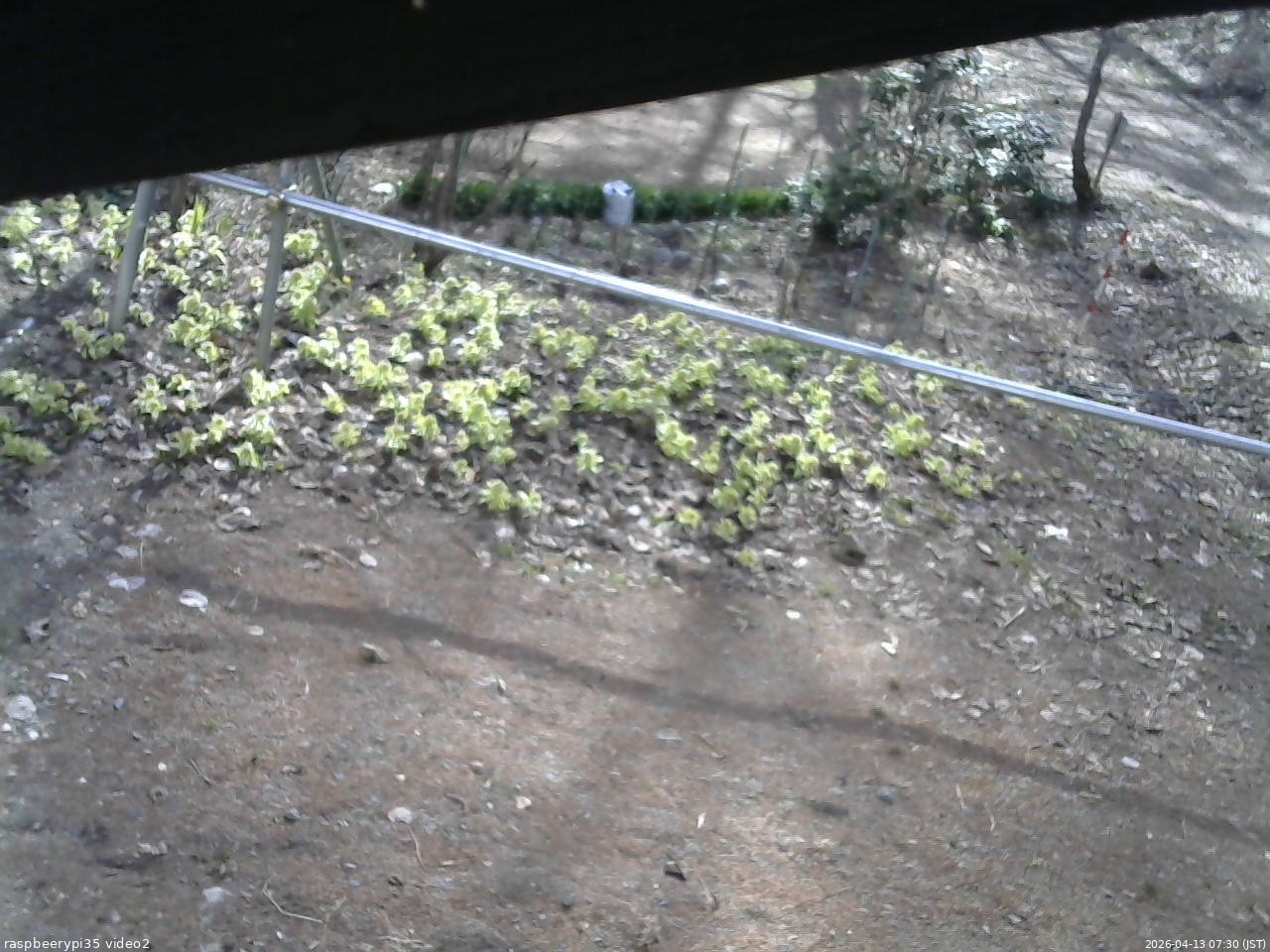 長野県菅平高原 ゆたか山荘 駐車場 2026/04/13 07:30