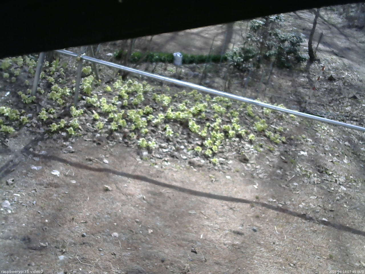 長野県菅平高原 ゆたか山荘 駐車場 2026/04/13 07:45