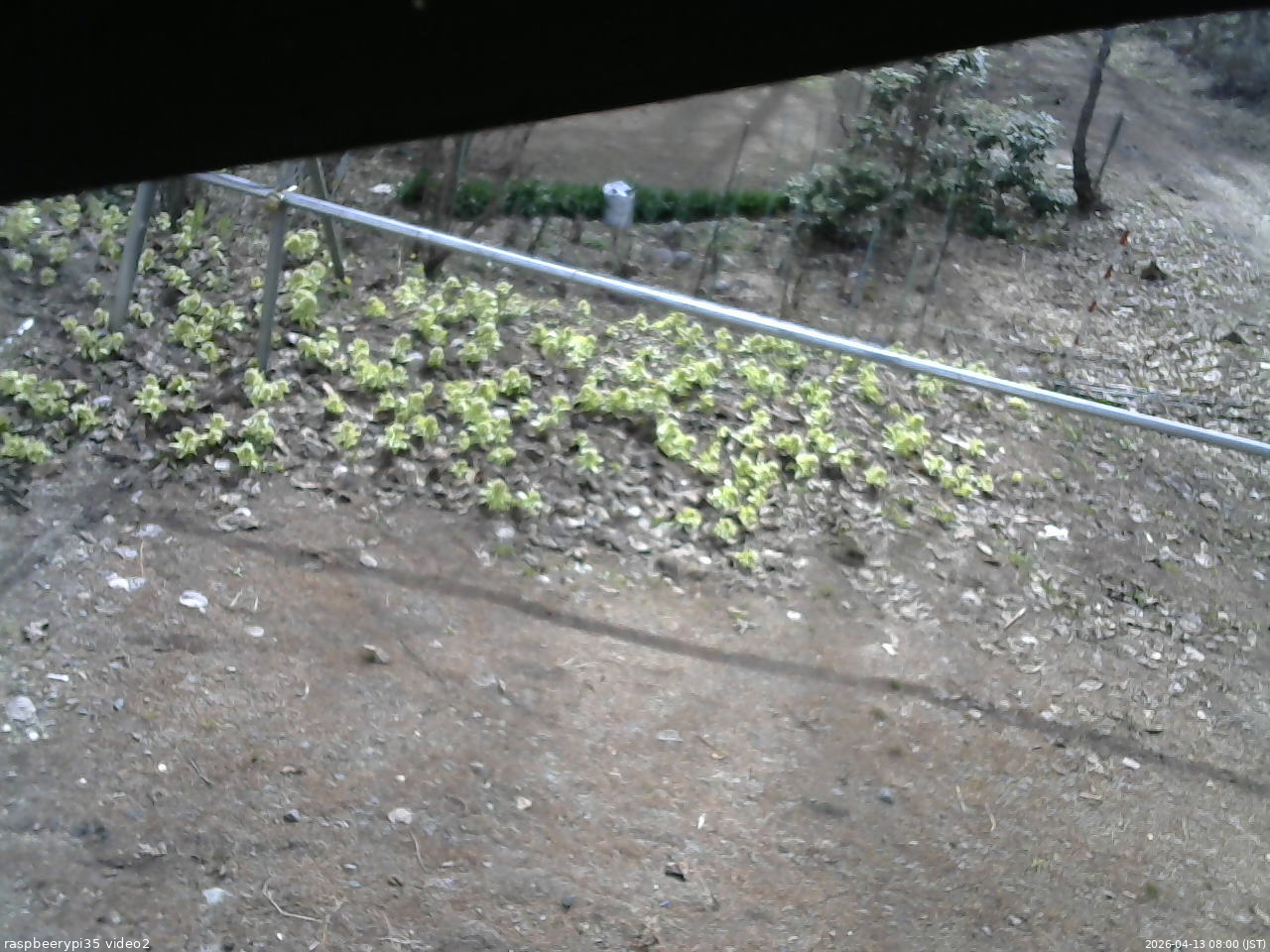 長野県菅平高原 ゆたか山荘 駐車場 2026/04/13 08:00