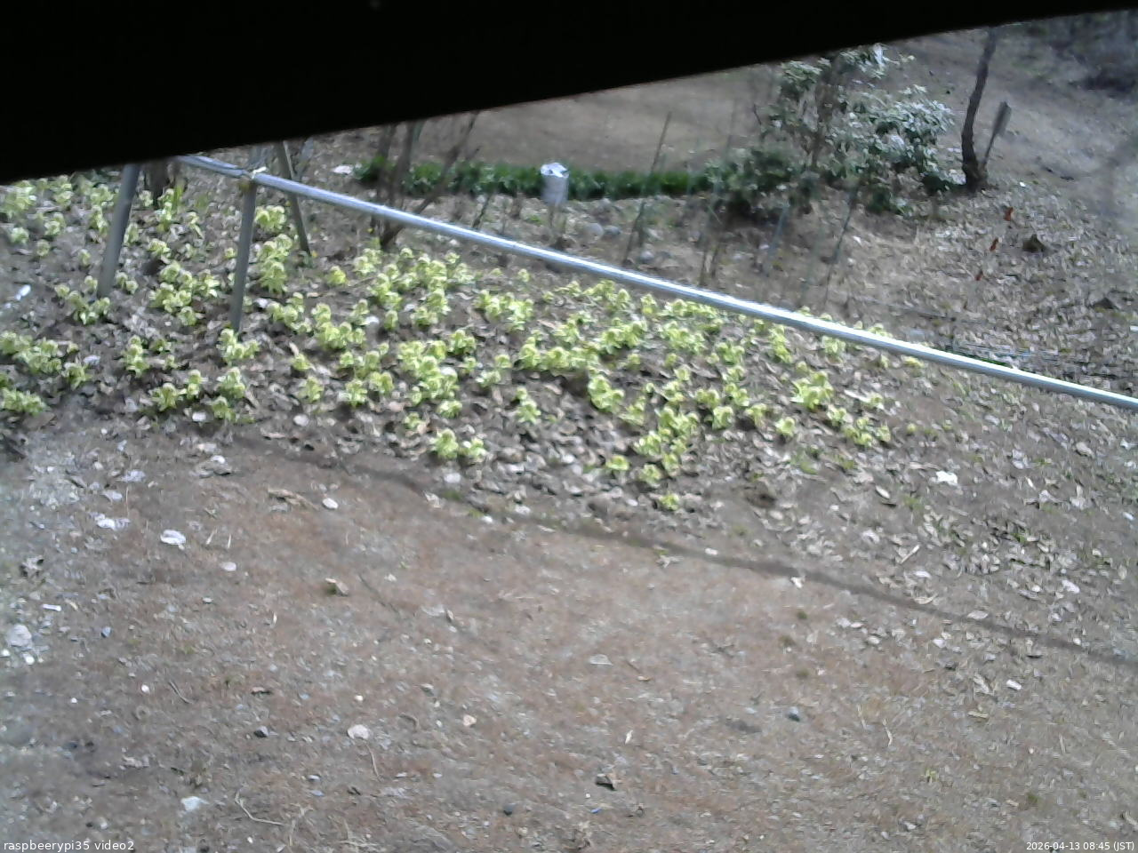 長野県菅平高原 ゆたか山荘 駐車場 2026/04/13 08:45