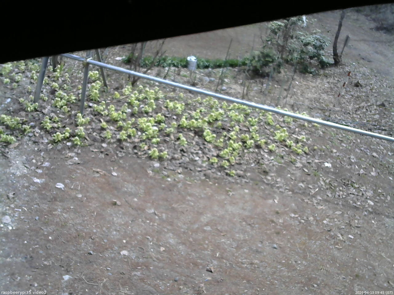 長野県菅平高原 ゆたか山荘 駐車場 2026/04/13 09:45